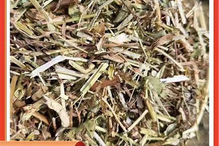 门球场人造草坪厂家批发(每平方多钱？如何施工？产品优势有哪些？)