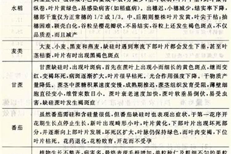 天然钾肥有哪些