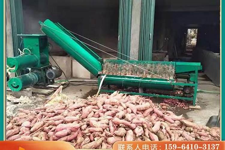 硼肥对红薯有什么作用 最佳使用时间
