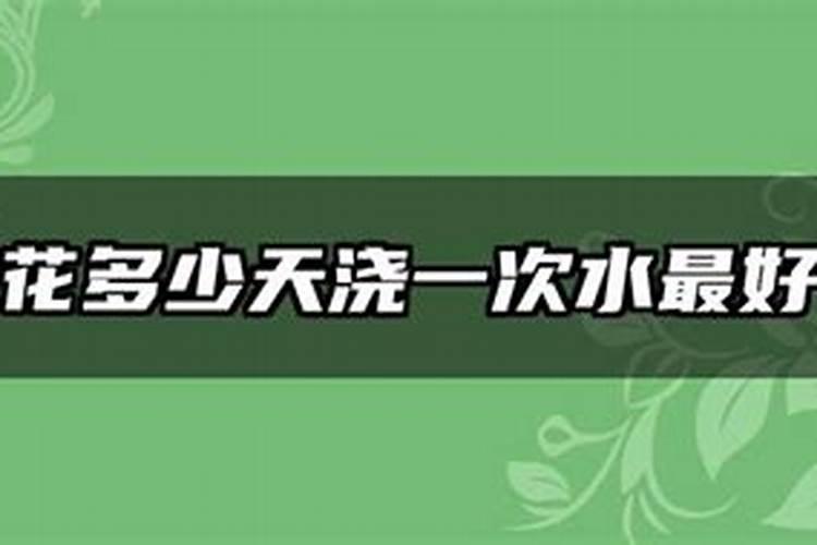 山东金丰集团企业文化
