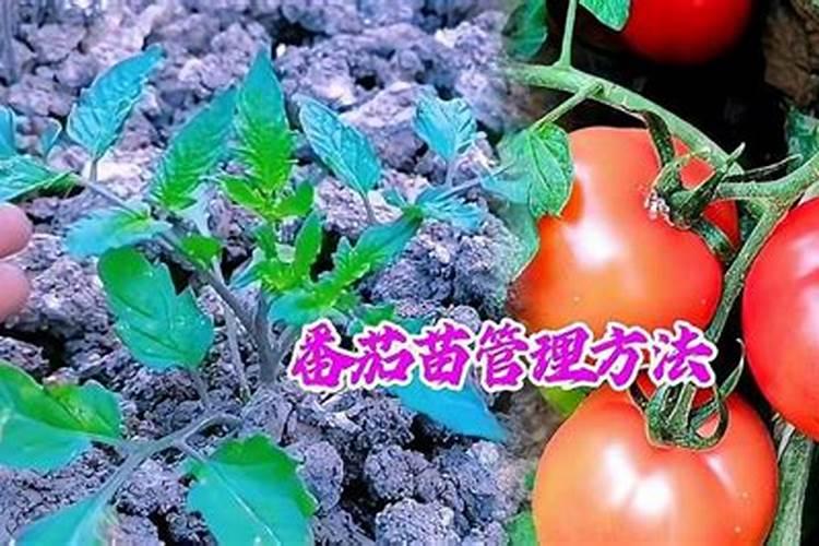 云南天杰化肥制造有限公司怎么样？