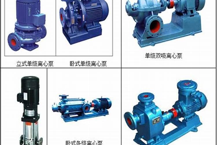 一年中什么时候给月季施肥最好(月季施肥的最佳时间)