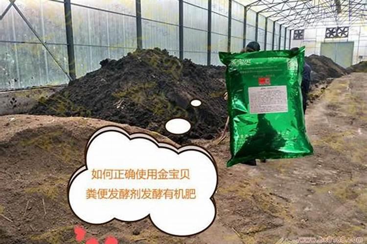 草本灰种菜作肥料好吗