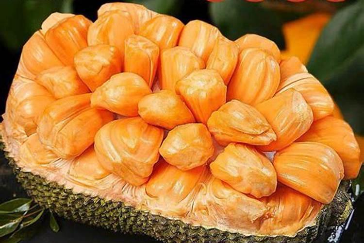 菠萝催花时间和方法
