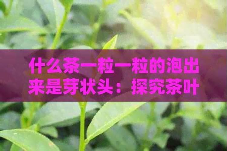 苹果树补钙的叶面肥有哪些苹果树叶面肥一年喷几次都喷什么肥