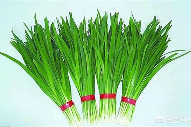 大棚韭菜喷什么叶面肥