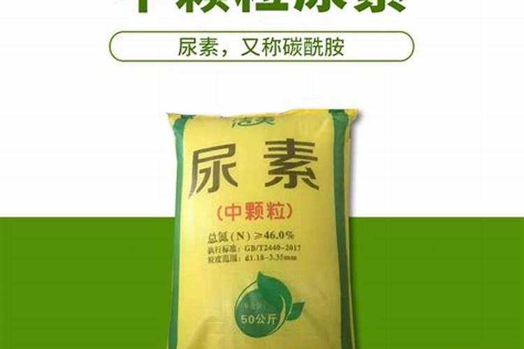 2023年华鲁恒升德州化肥厂招聘专科生吗