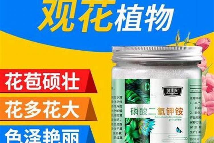 养花一般要施什么肥料好,养花施什么肥最好