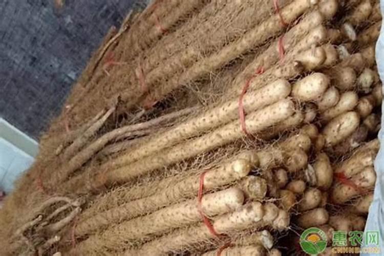 种山药需要什么肥料