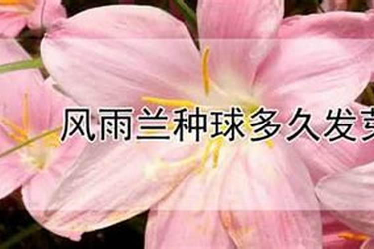 复旦复农农药对蔬菜的作用