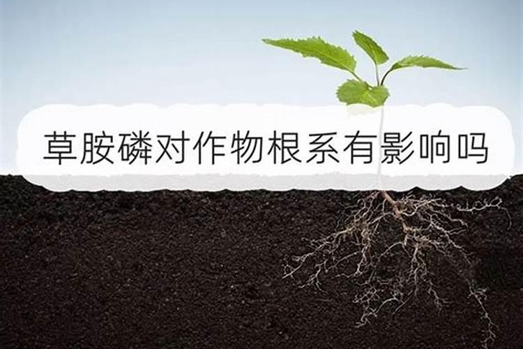 草甘磷与草胺磷有什么区别？