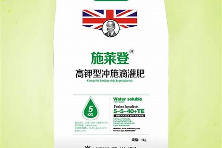 【草莓】促花促果长得快,施莱宝助力增产又增收