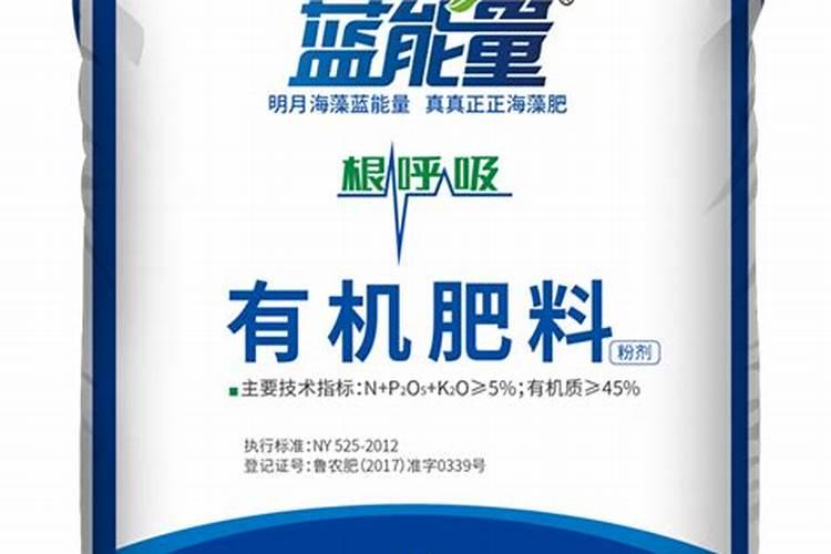露地西瓜结果期的主要管理措施