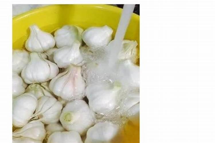 果树打药后能吃吗