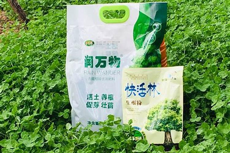 花生多大打除草剂最好