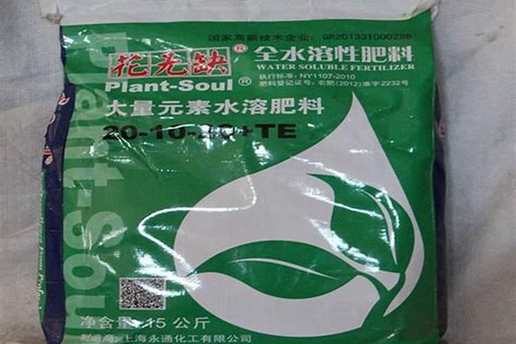 我的草莓是怎么了,芯都烂了？