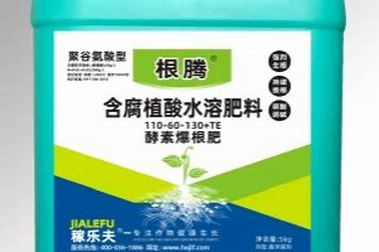 大樱桃春季上什么肥料