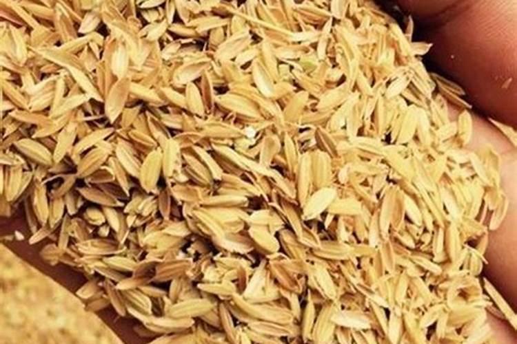 谷壳怎样发酵做肥料
