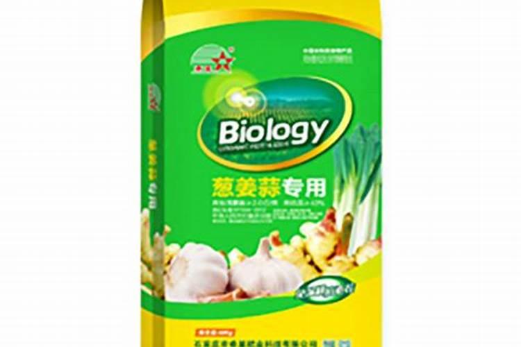 多肉植物用什么肥料好