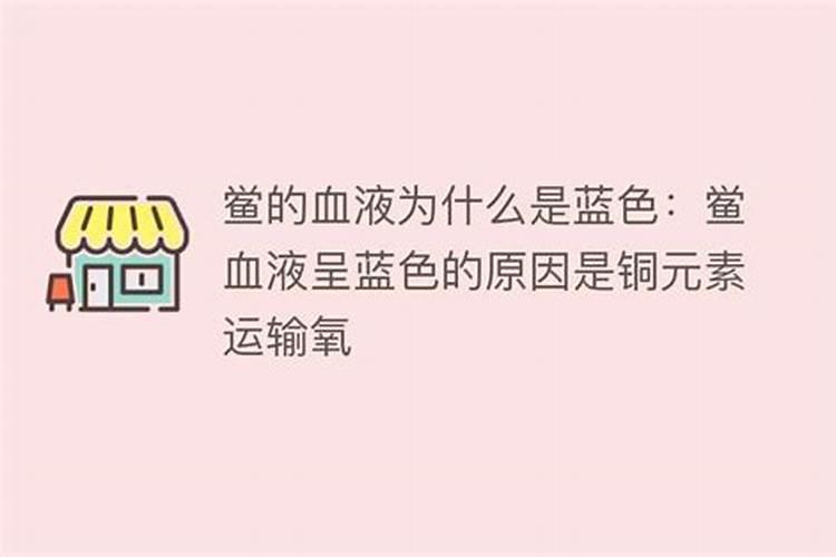 鱼蛋白在暖棚蓝莓管理上怎么使用呢？
