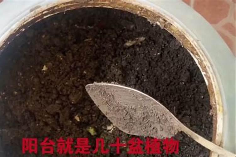 小表春季堆肥能用氮肥吗？