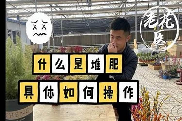 酵素堆肥的制作 酵素堆肥什么意思