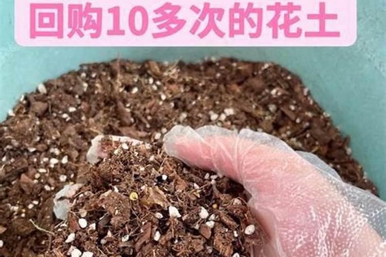 营养土种多久要施肥