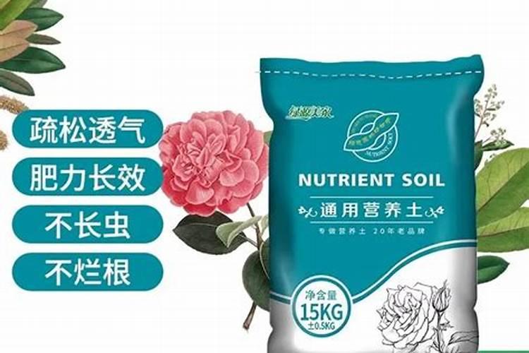 用营养土多久施肥 营养土何时施肥最佳？