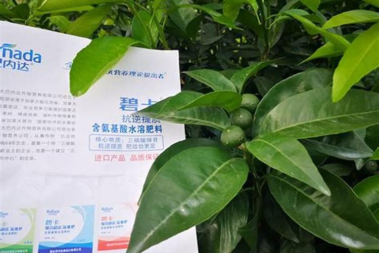 ...使磷磷酸二氢钾和氨基酸水溶肥搭配芸太素可以吗？