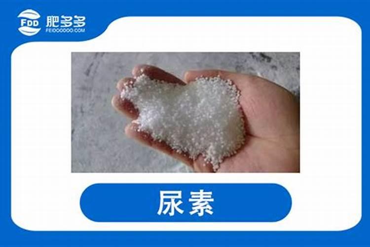 苹果树春季“水肥”是怎么回事