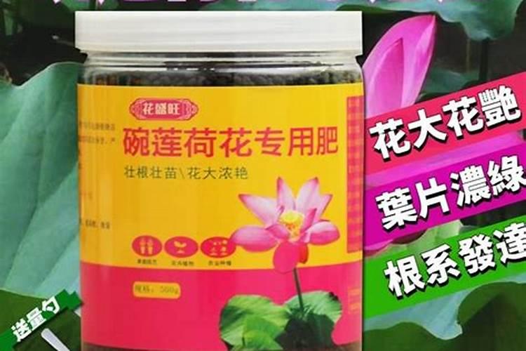 荷花施肥方法,用什么肥好