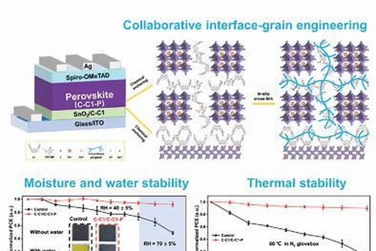 水溶性肥料成分表