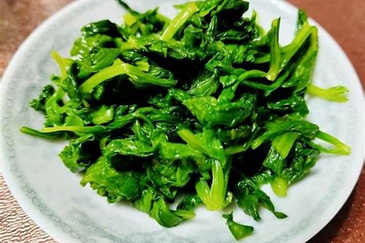抱子芥(儿菜) 北方种植方法