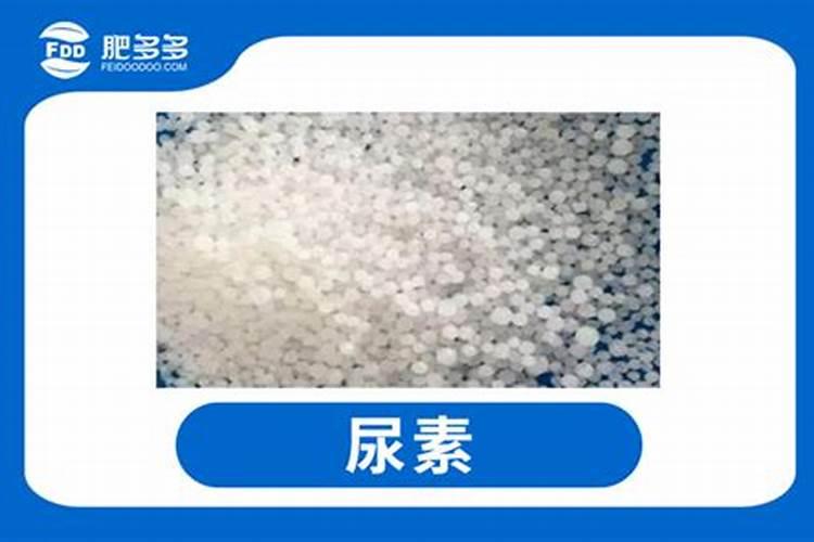 冲施肥冲尿素好吗