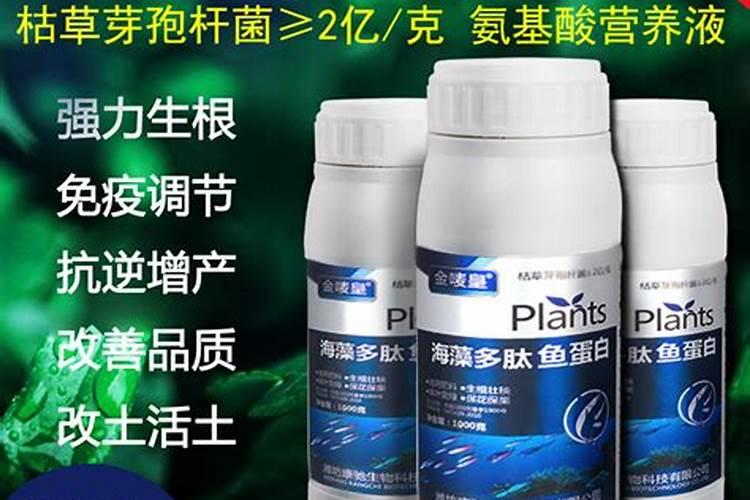 自制水肥配方