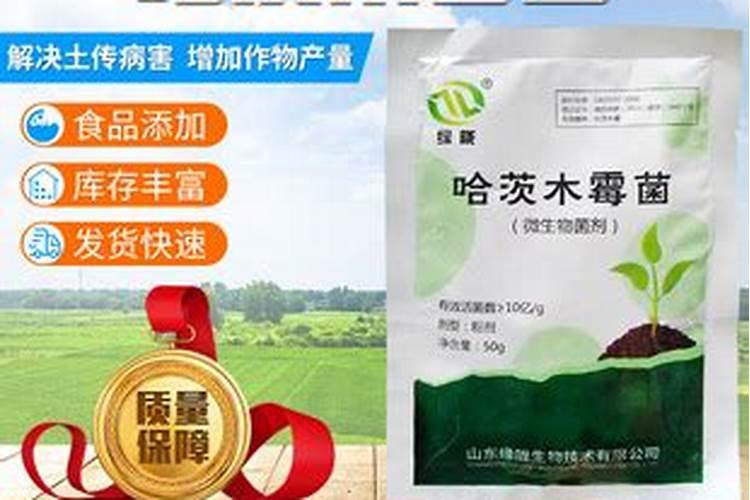 中国最好的果树叶面肥有哪些？