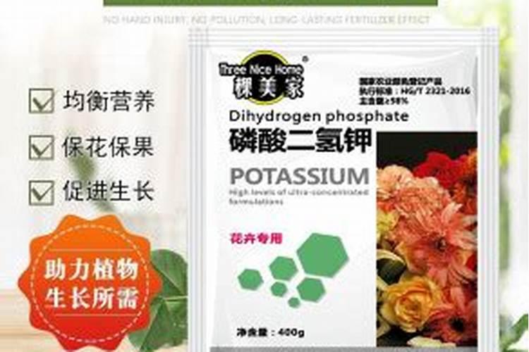 绿萝上什么肥料好