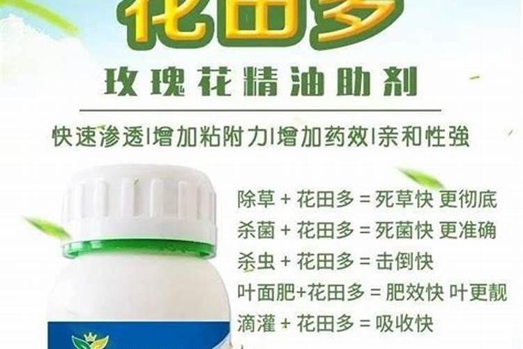 卷心菜什么时候种？如何正确施肥？