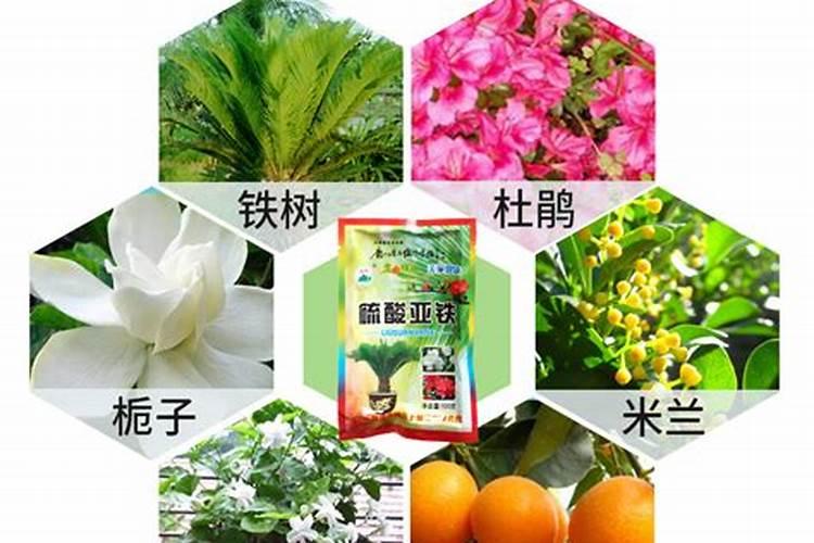 鱼池肥水撒什么肥料