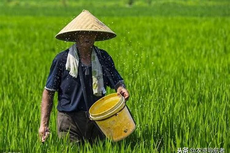 无公害蔬菜农药种类