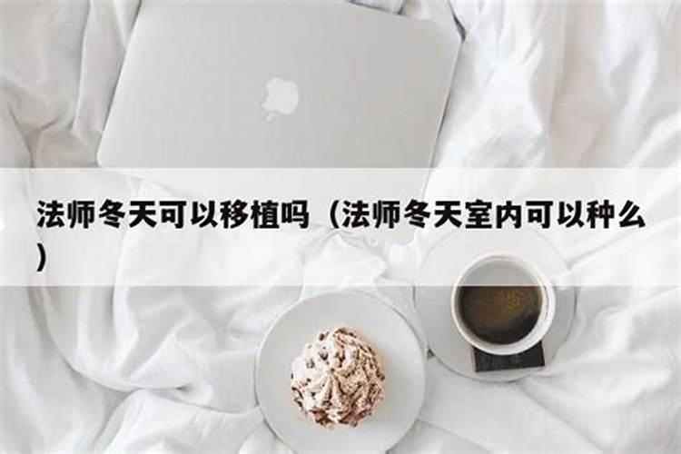 法师用什么肥料叶片又厚又肥