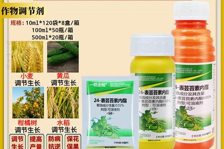 芸苔素能促进生根吗