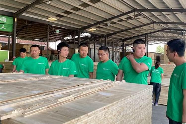 陕西农业有机肥公司有哪些