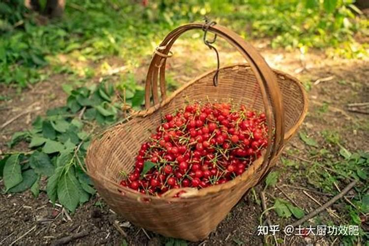 水溶肥检测项目和标准有哪些？