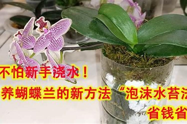 你好,请问玉米专用肥黄豆使用可以吗？