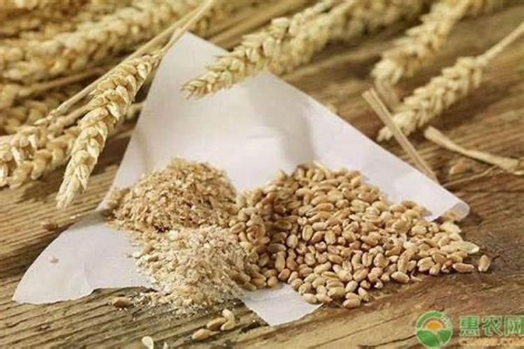 小麦灌浆期还需要喷施硅肥吗每亩用多少克