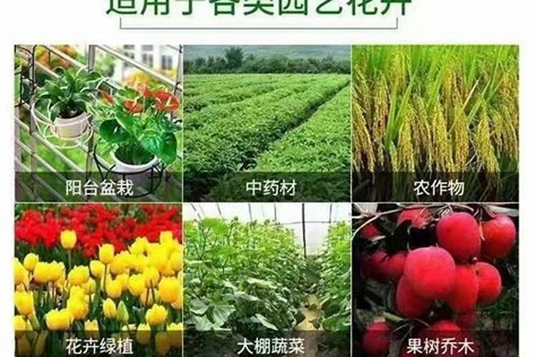 水溶肥哪家好
