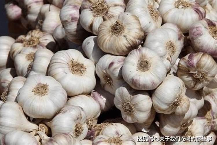 兰花喷施叶面肥有哪些禁忌