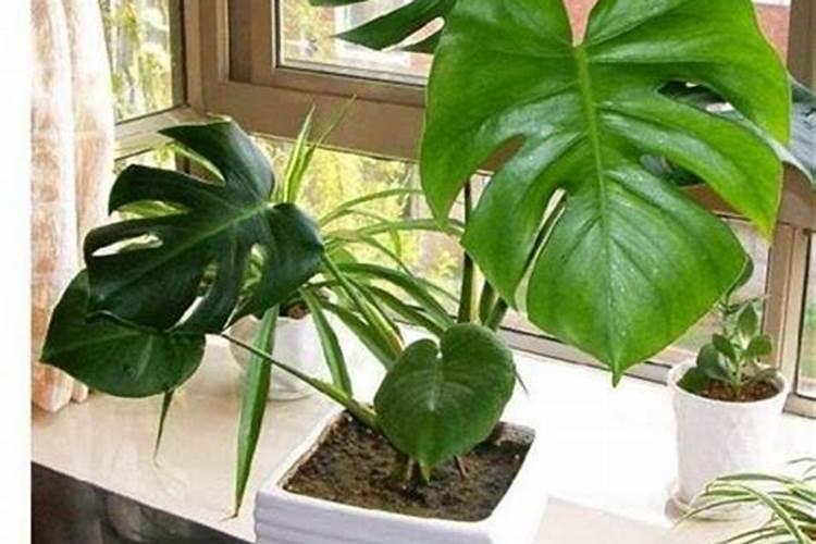 保水剂应用范围