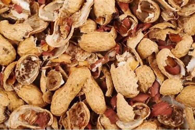 花生能使用尿铵氮肥吗(花生喷施肥料后卷叶怎么办)